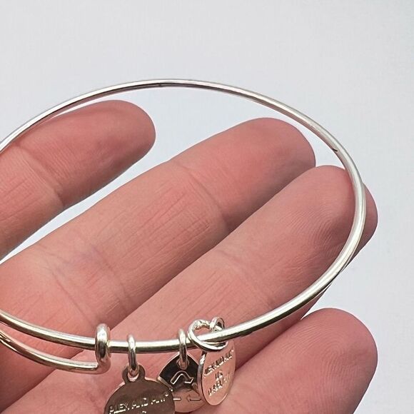 Alex And Ani Women's Expandable Red Crystal‎ Birthstone Silver Charm Bracelet - Picture 4 of 8